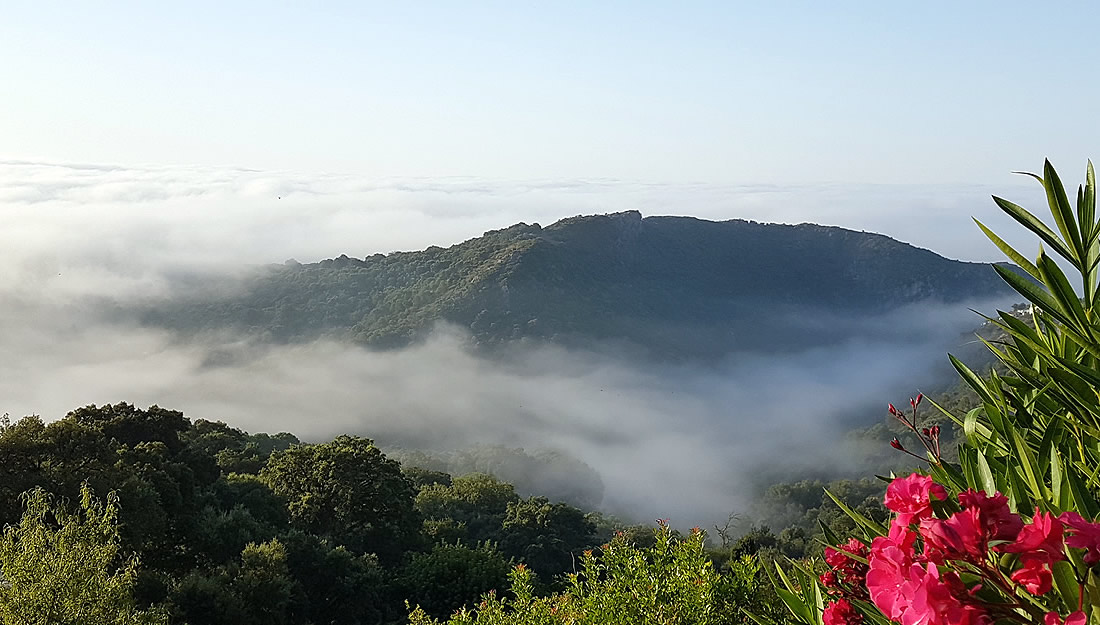 Ambalama - View from Terrace