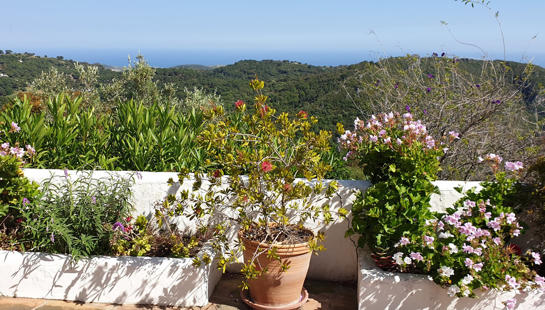 Ambalama - View from Terrace