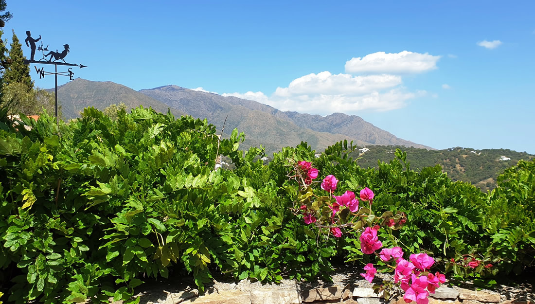 Ambalama - View from Terrace