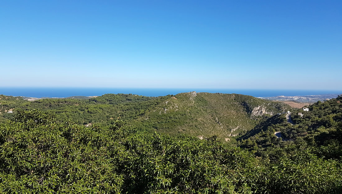 Ambalama - View from Terrace